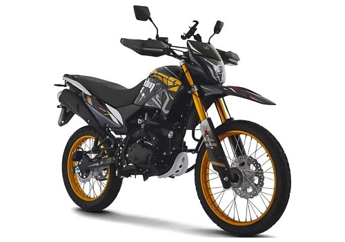 Мотоцикл ZONSEN ZS300GY